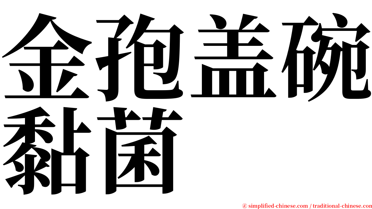 金孢盖碗黏菌 serif font