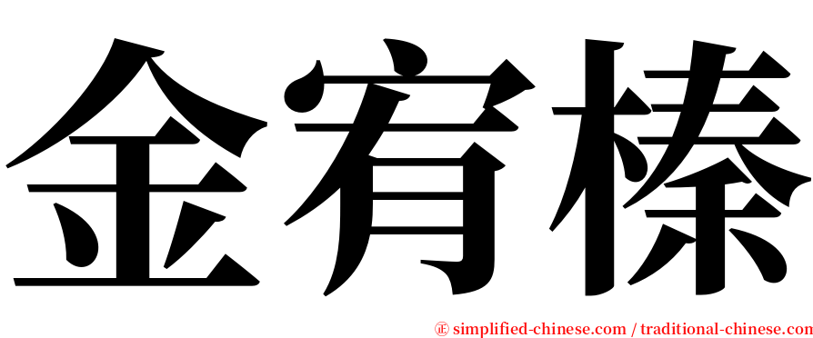 金宥榛 serif font