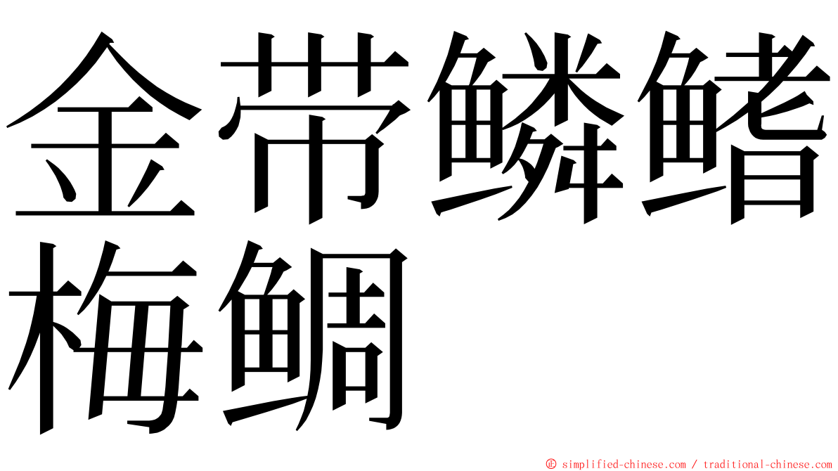 金带鳞鳍梅鲷 ming font