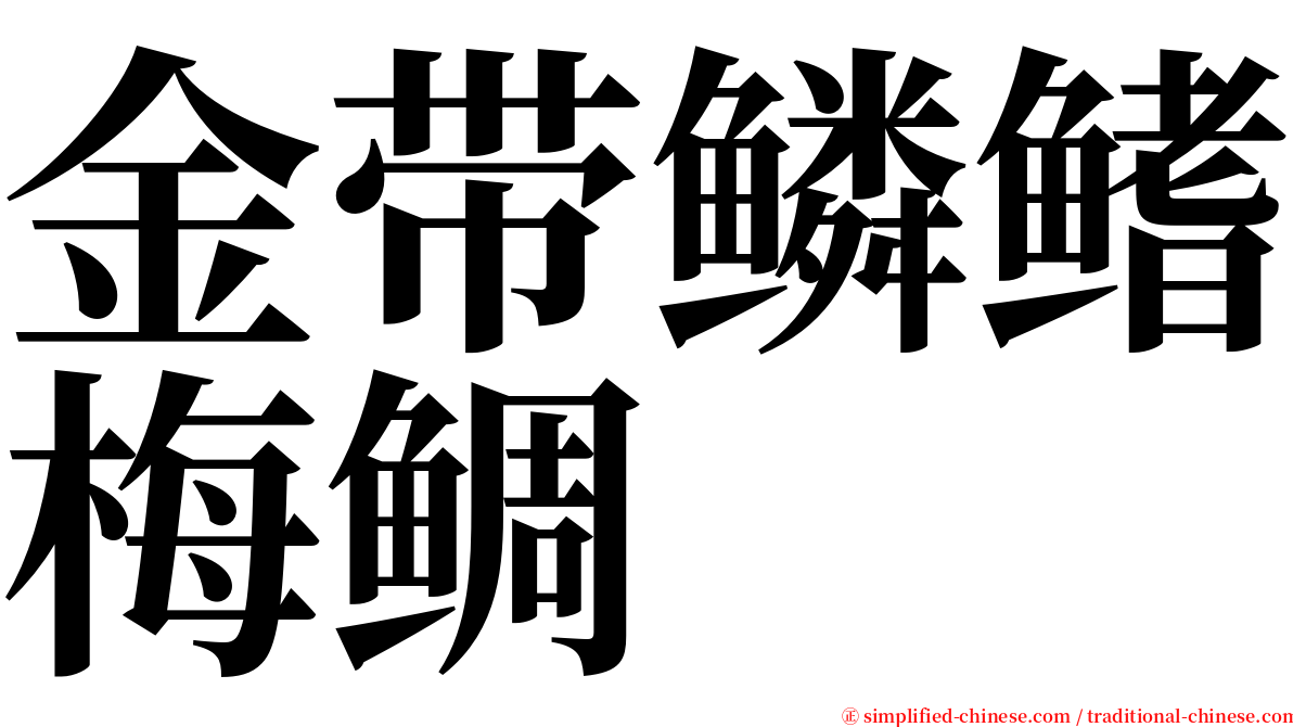 金带鳞鳍梅鲷 serif font