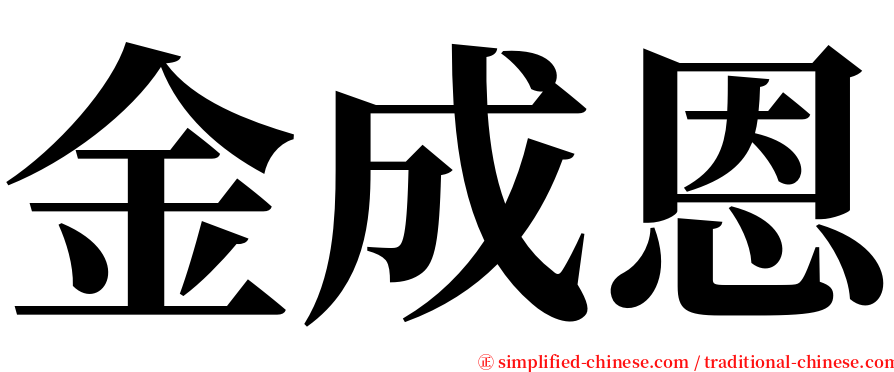 金成恩 serif font