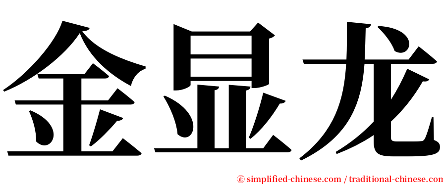 金显龙 serif font