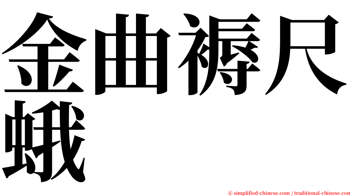 金曲褥尺蛾 serif font