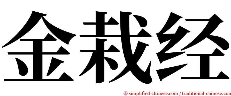 金栽经 serif font