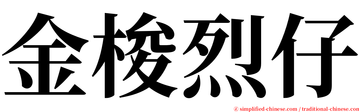 金梭烈仔 serif font