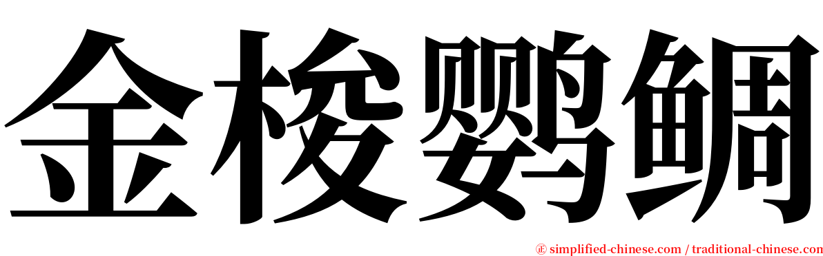 金梭鹦鲷 serif font