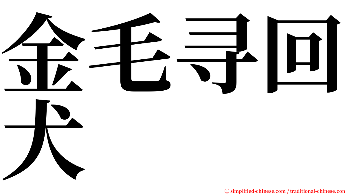 金毛寻回犬 serif font