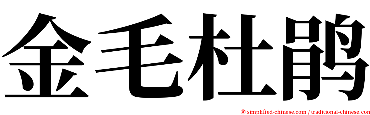 金毛杜鹃 serif font