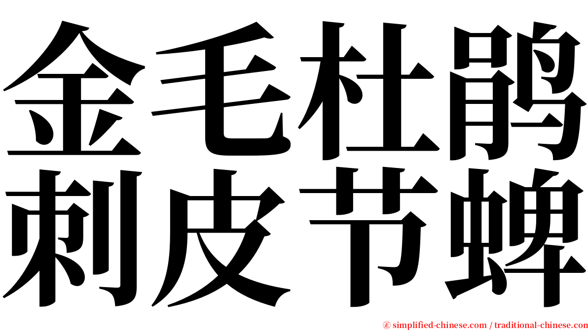 金毛杜鹃刺皮节蜱 serif font