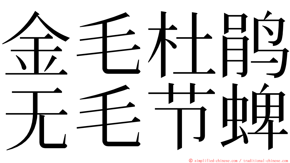 金毛杜鹃无毛节蜱 ming font