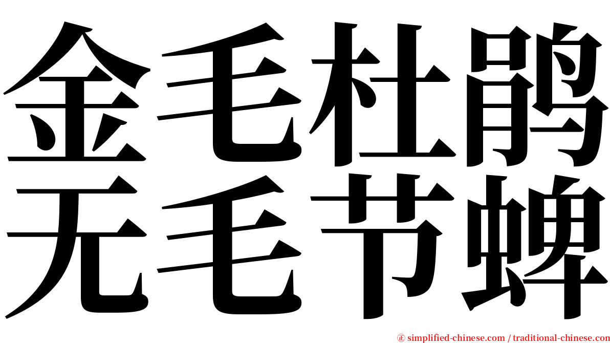 金毛杜鹃无毛节蜱 serif font