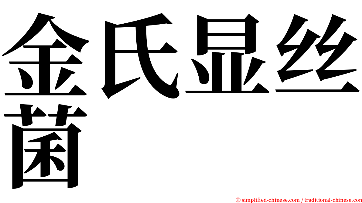 金氏显丝菌 serif font