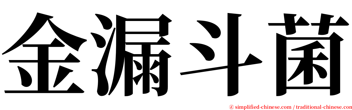 金漏斗菌 serif font