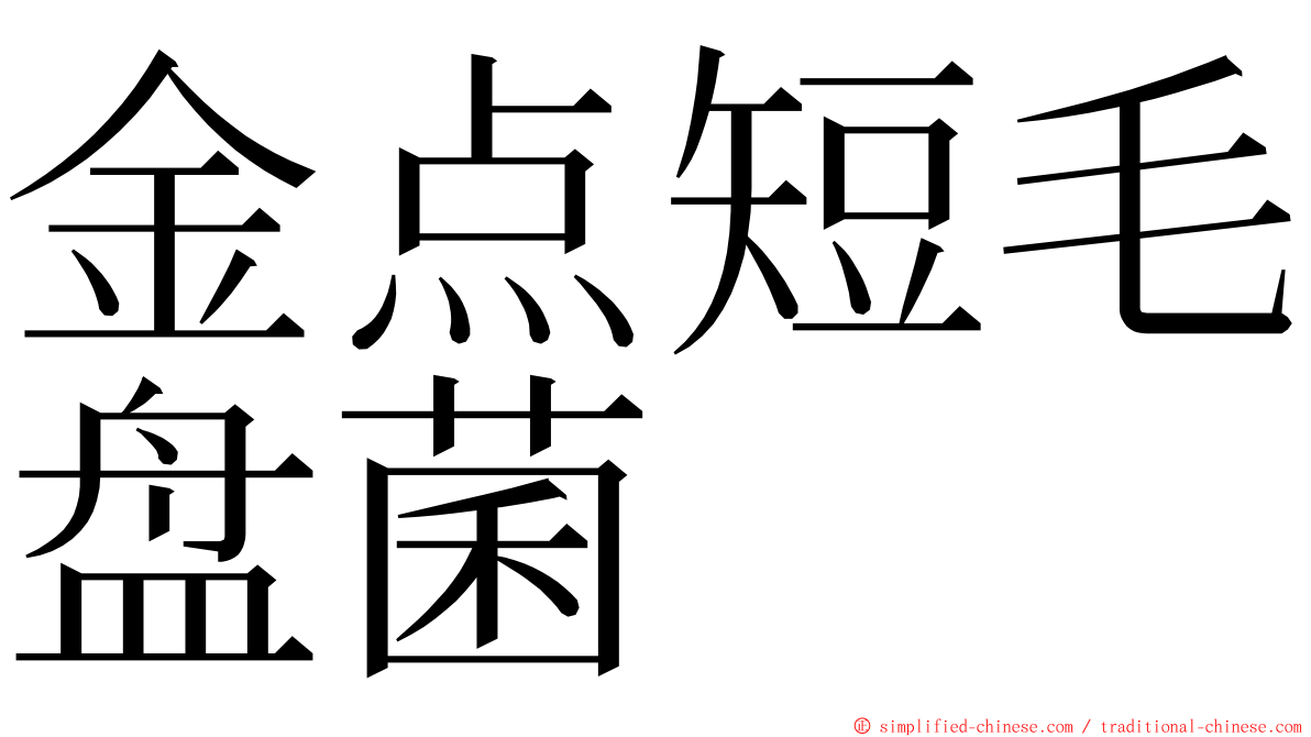 金点短毛盘菌 ming font