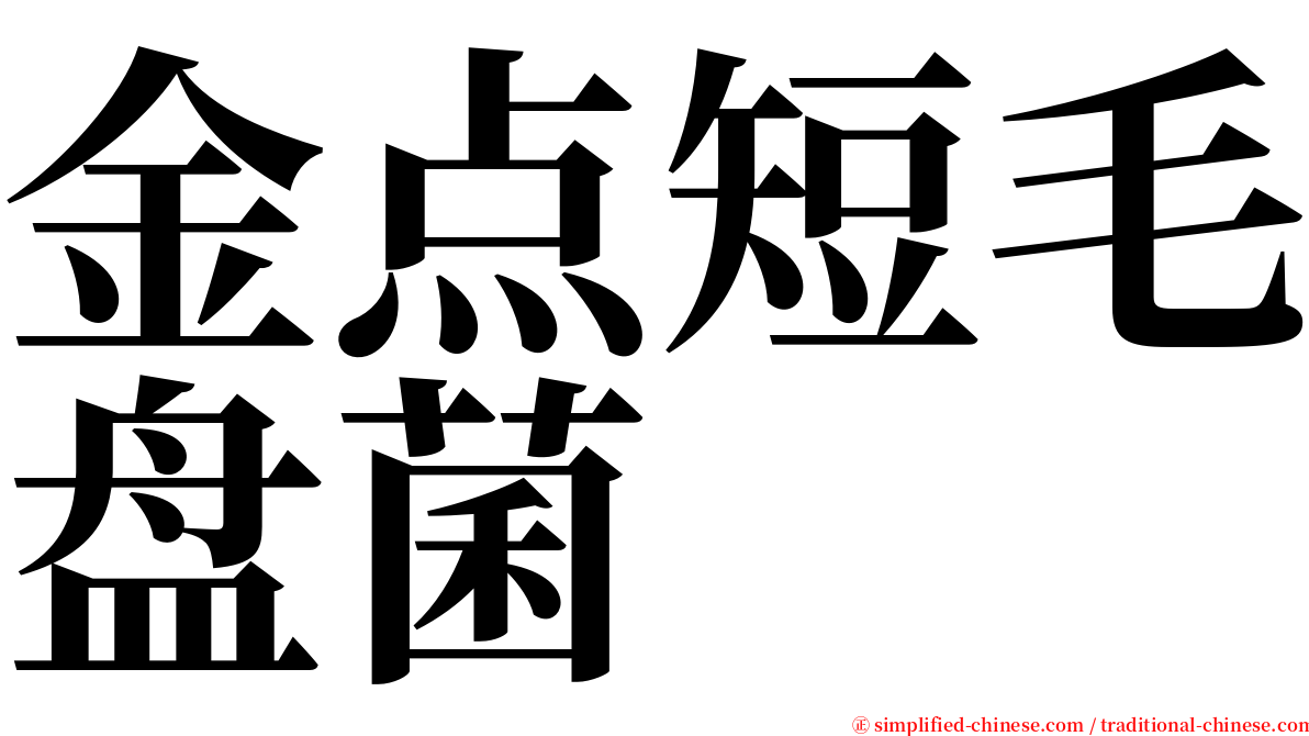 金点短毛盘菌 serif font