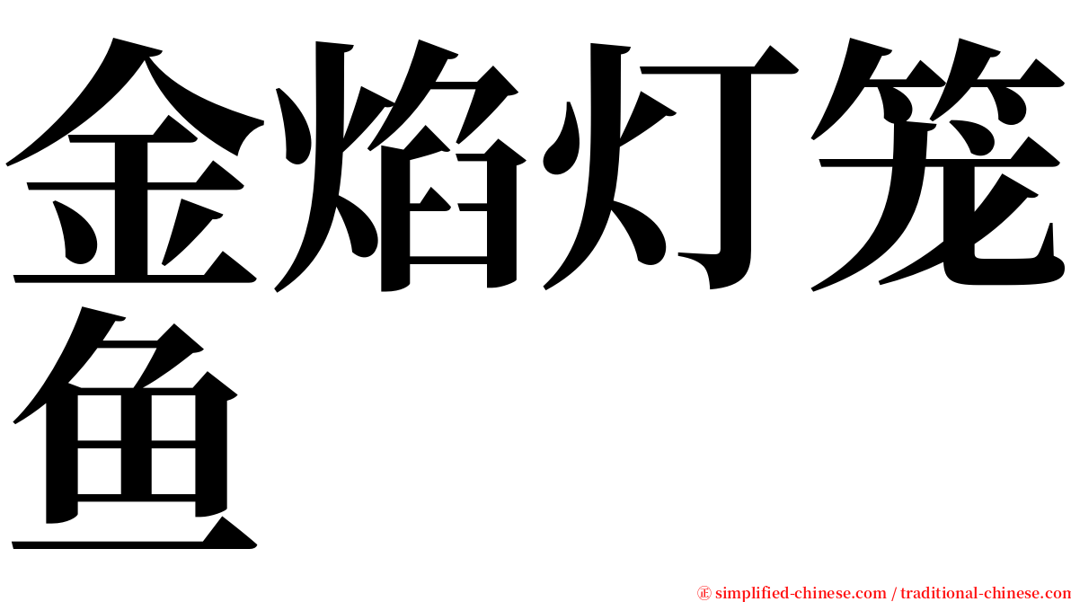 金焰灯笼鱼 serif font