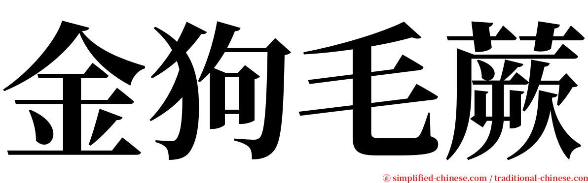 金狗毛蕨 serif font