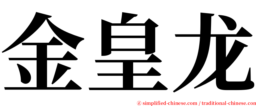 金皇龙 serif font