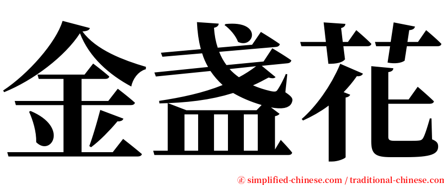 金盏花 serif font