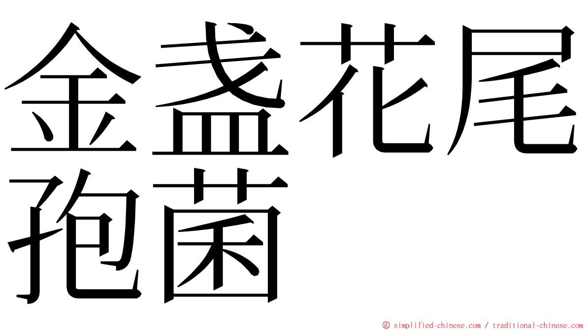 金盏花尾孢菌 ming font