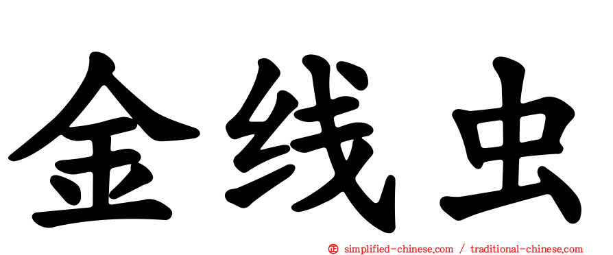 金线虫