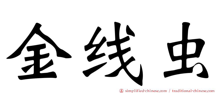 金线虫