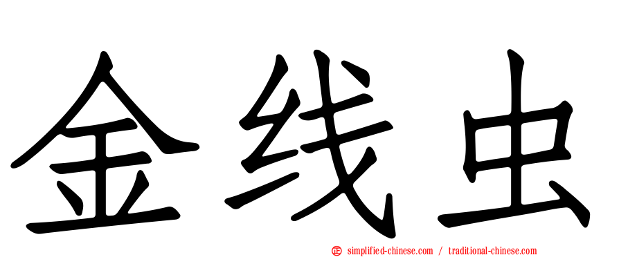 金线虫