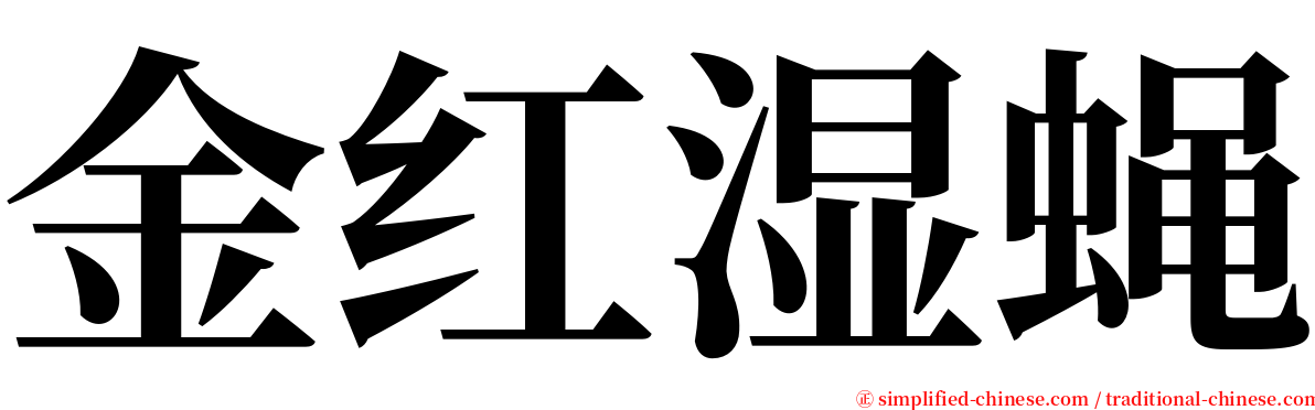 金红湿蝇 serif font