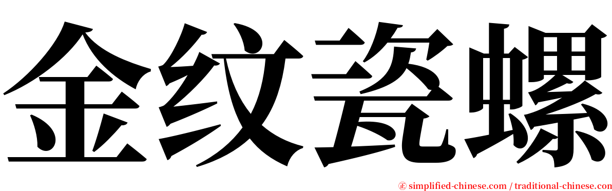 金纹瓷螺 serif font