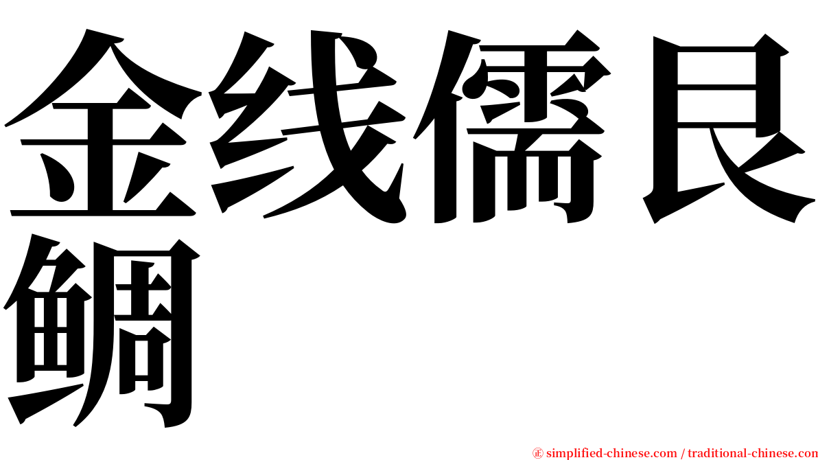 金线儒艮鲷 serif font