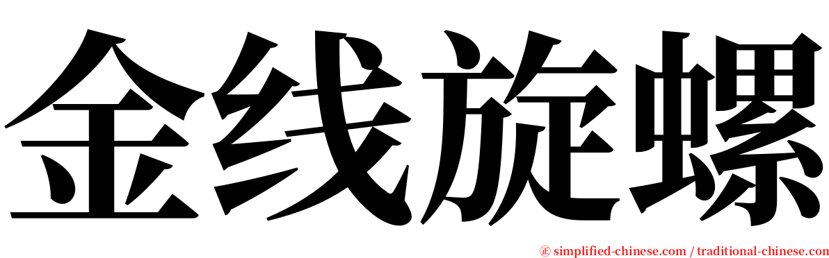 金线旋螺 serif font