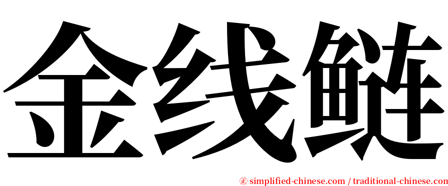 金线鲢 serif font