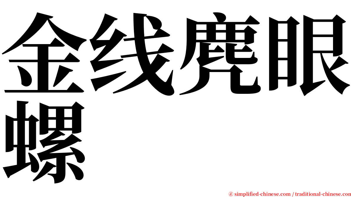 金线麂眼螺 serif font