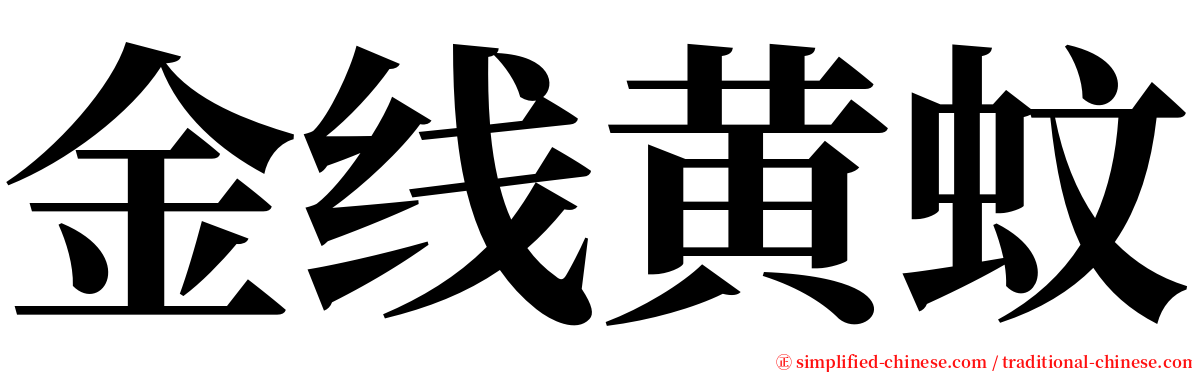 金线黄蚊 serif font