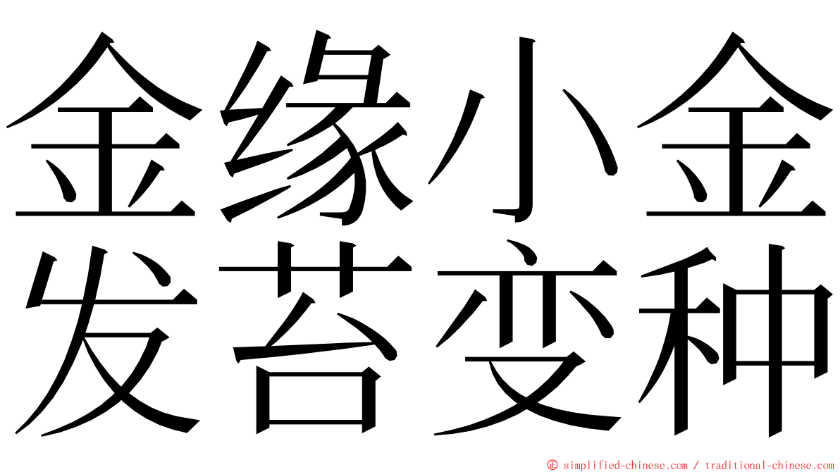 金缘小金发苔变种 ming font