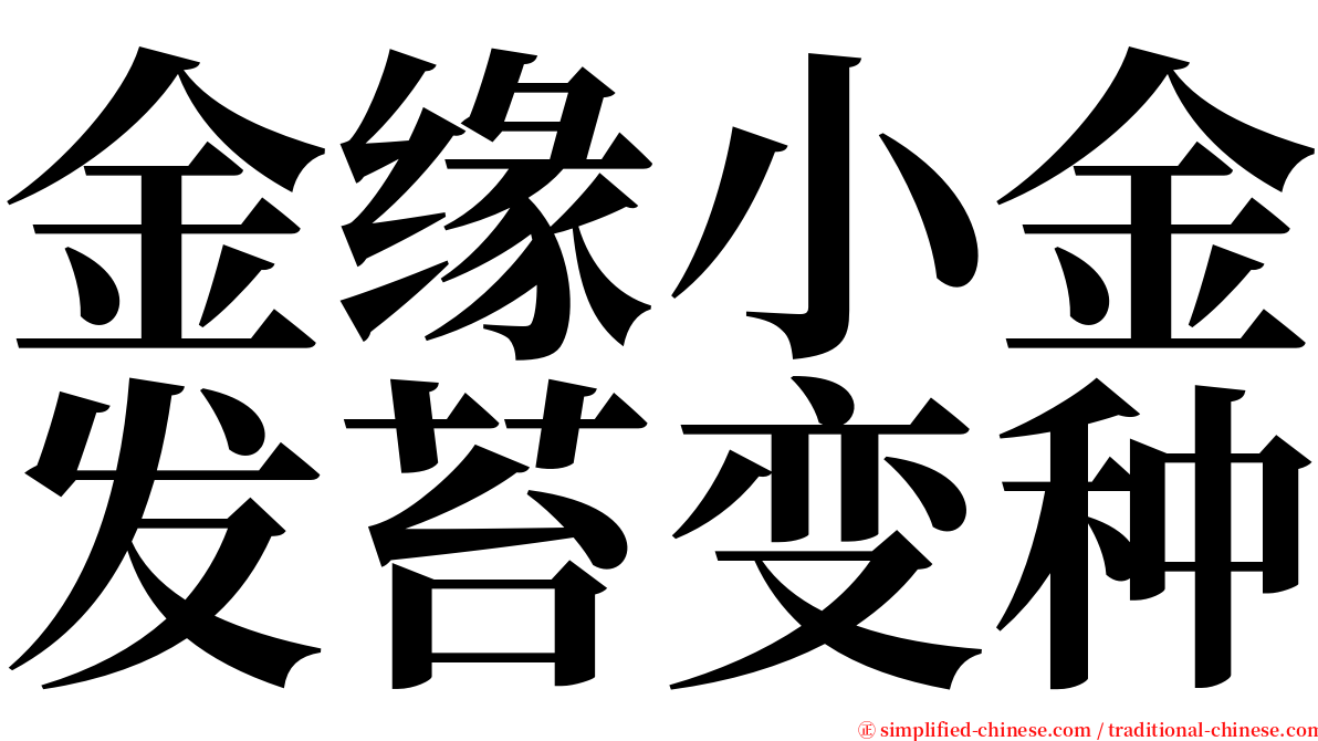 金缘小金发苔变种 serif font