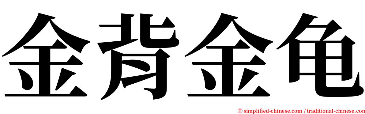 金背金龟 serif font