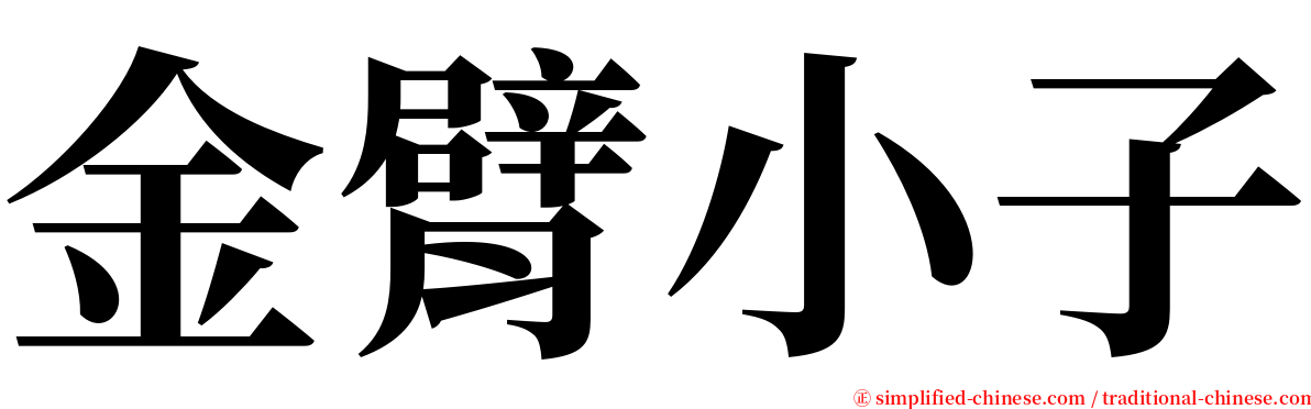 金臂小子 serif font