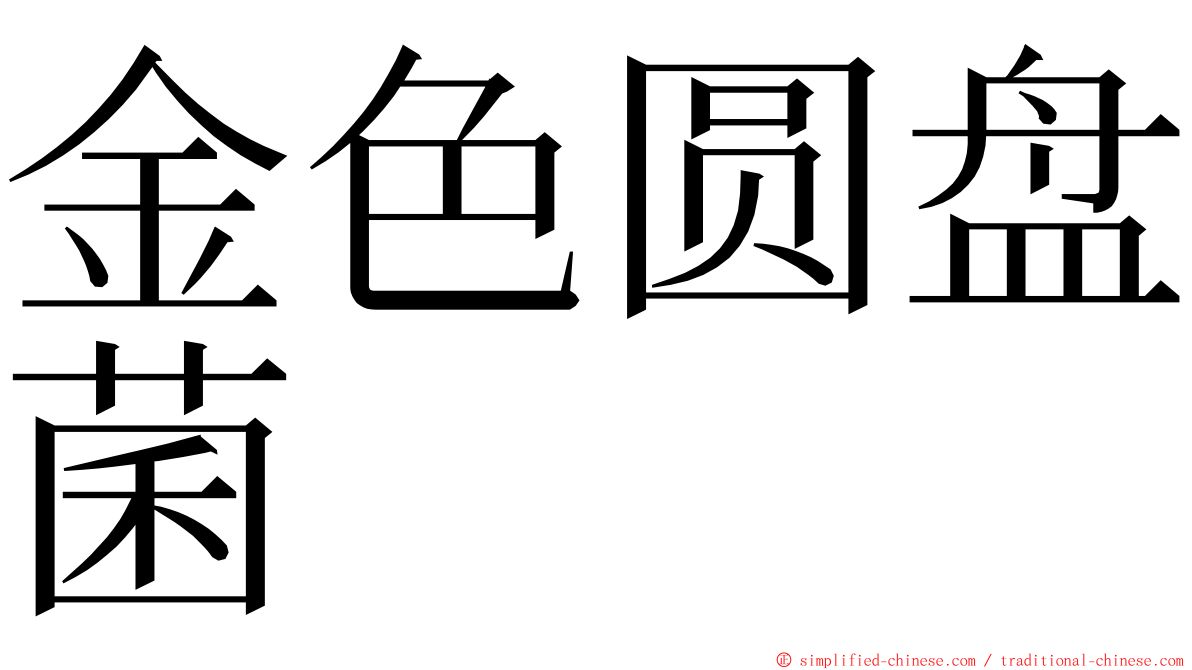 金色圆盘菌 ming font