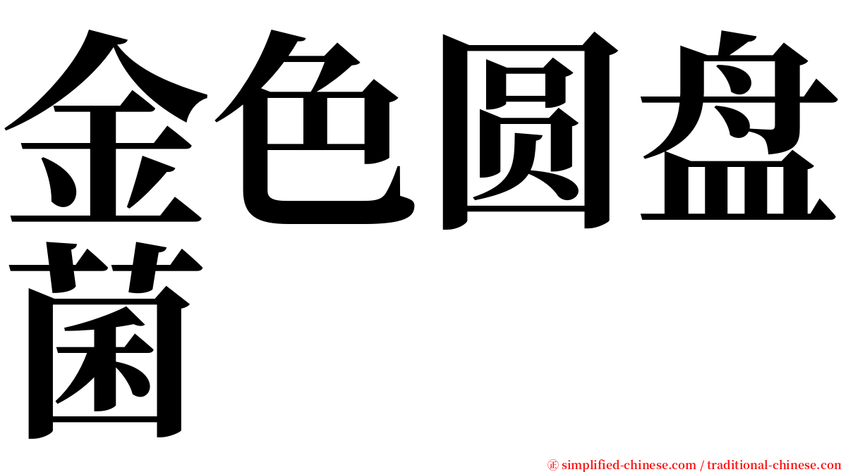 金色圆盘菌 serif font