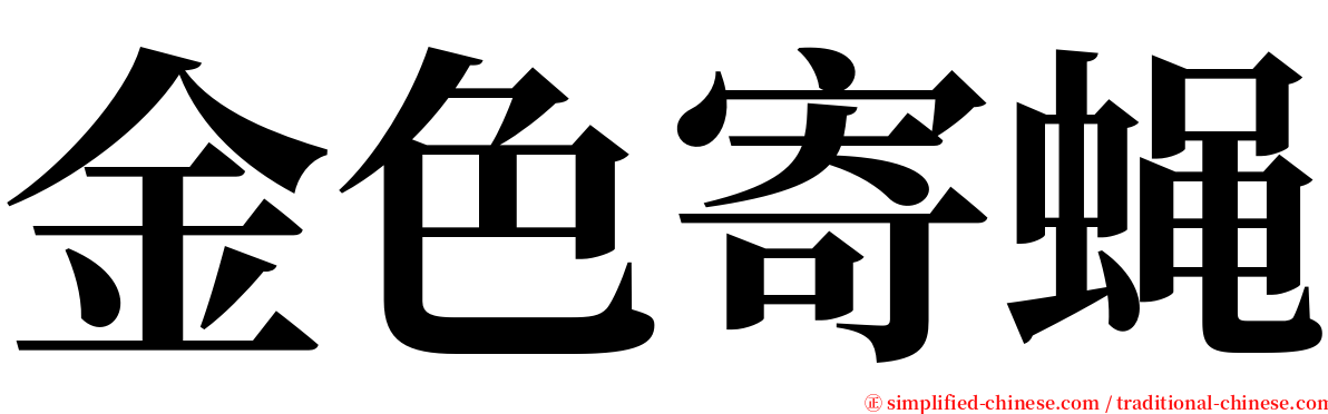 金色寄蝇 serif font