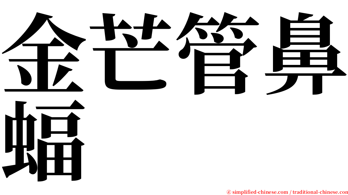 金芒管鼻蝠 serif font