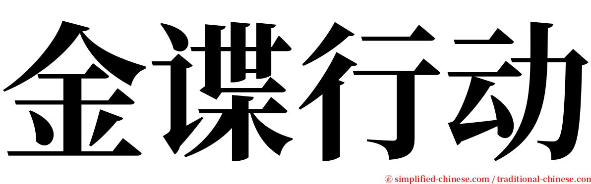 金谍行动 serif font