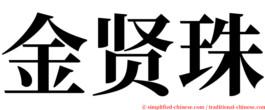 金贤珠 serif font