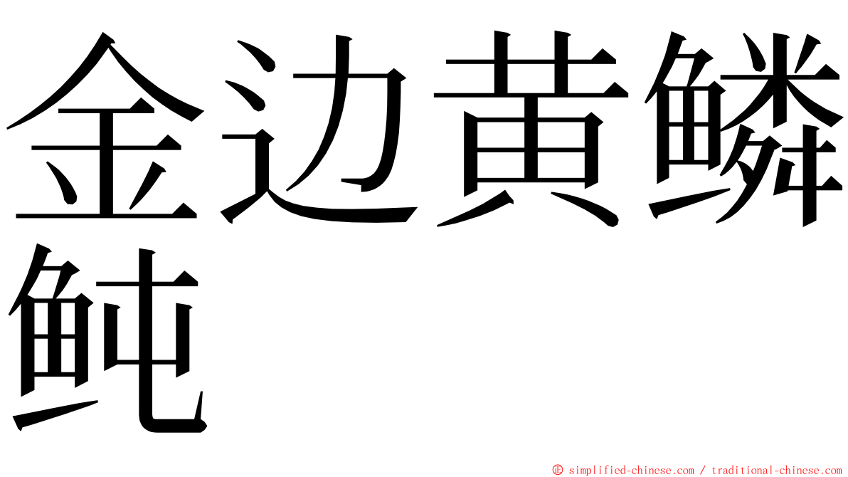 金边黄鳞鲀 ming font