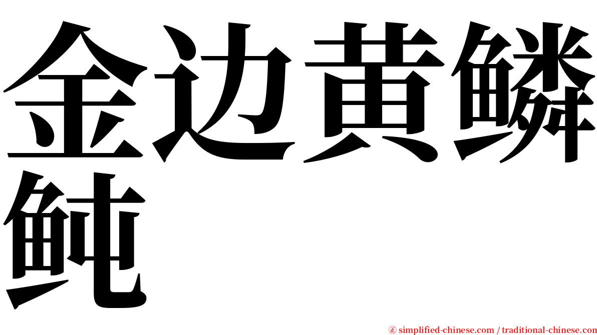 金边黄鳞鲀 serif font