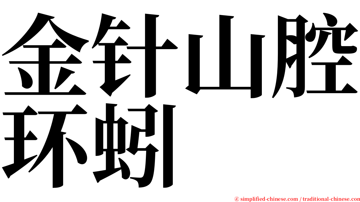 金针山腔环蚓 serif font