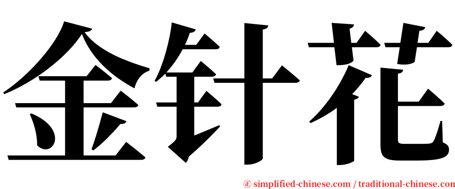 金针花 serif font