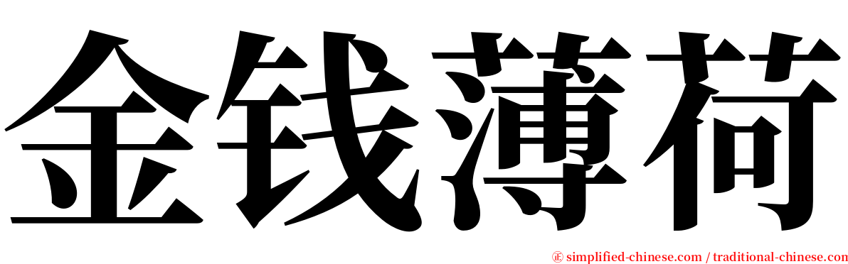 金钱薄荷 serif font