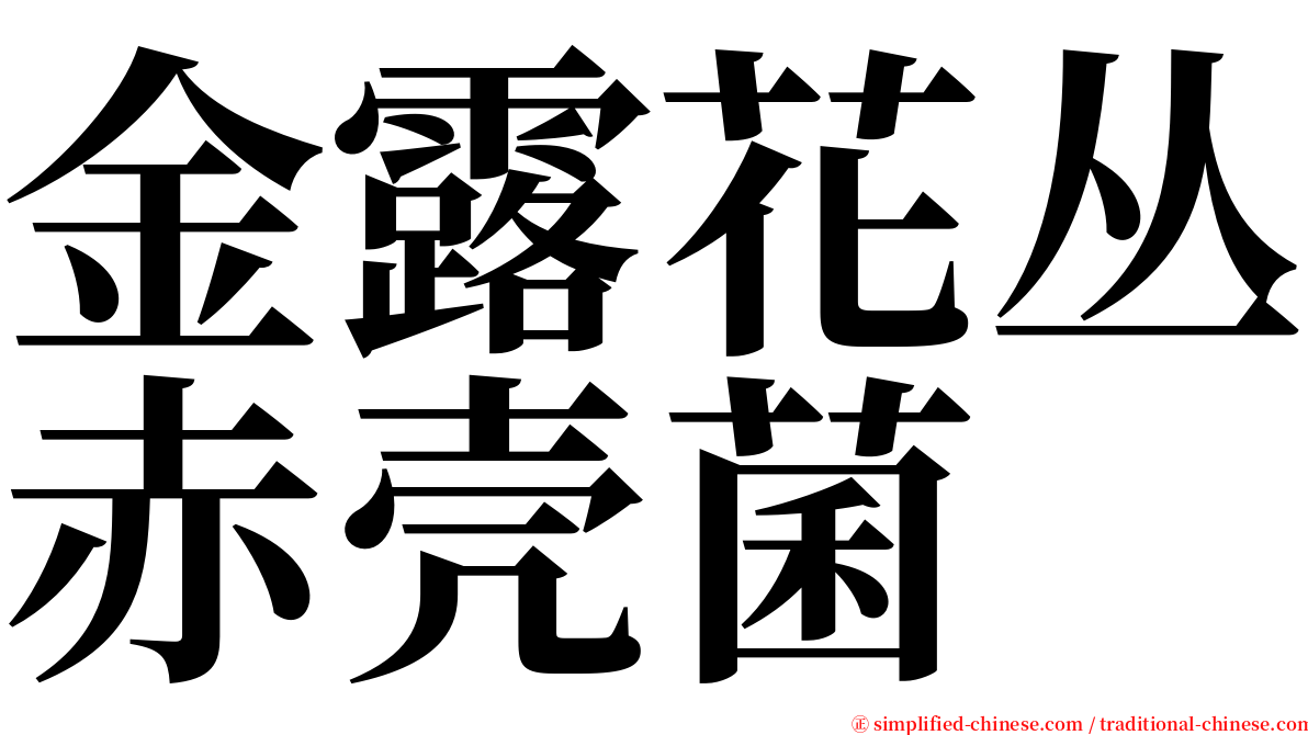 金露花丛赤壳菌 serif font